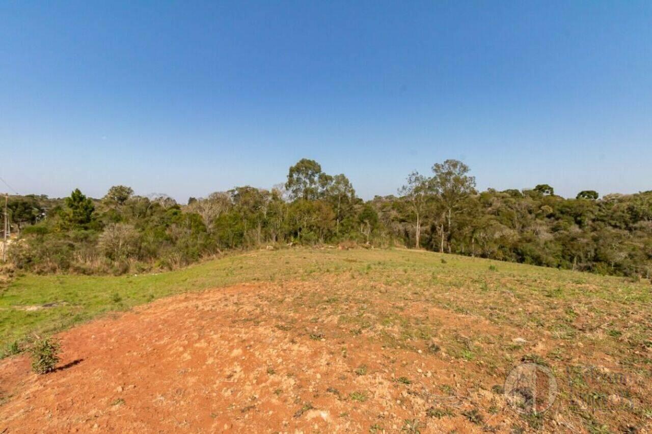 Terreno São Sebastião, São José dos Pinhais - PR