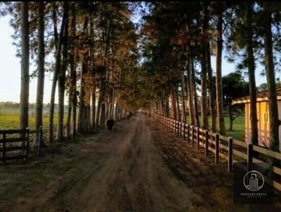 Área Rural de Avaré - Avaré - SP, Avaré - SP