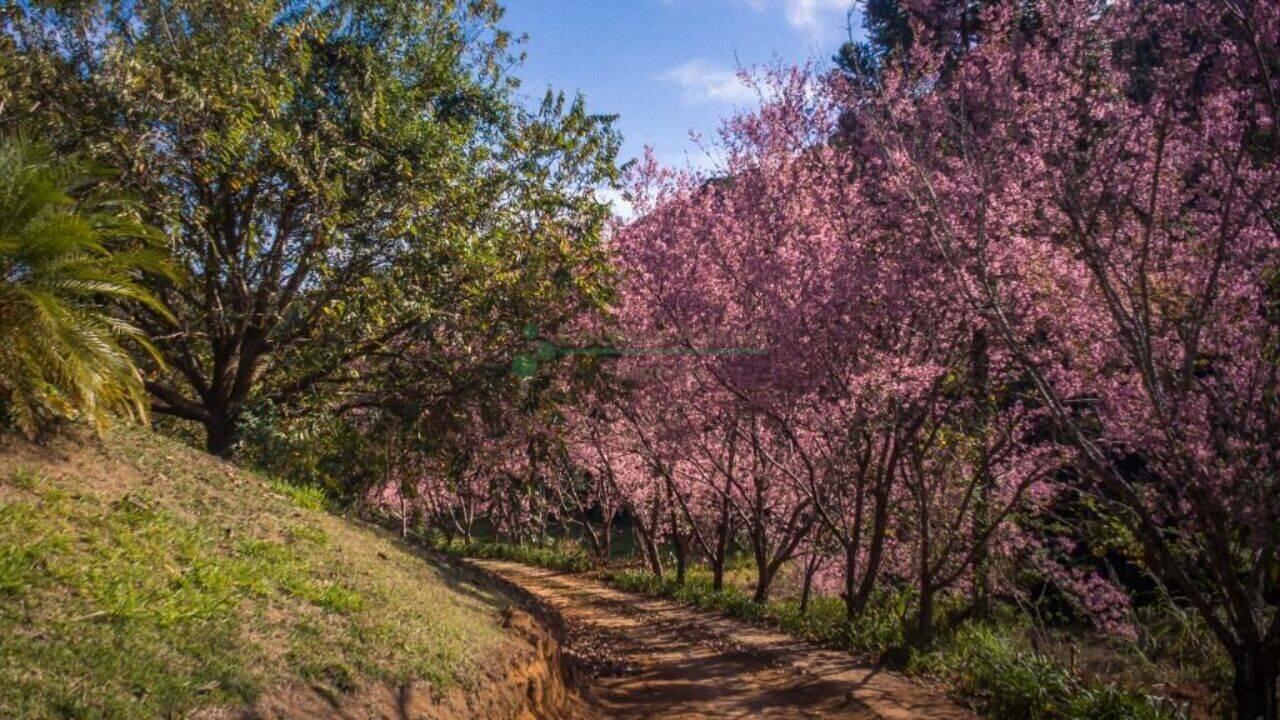 Terreno Albuquerque, Teresópolis - RJ