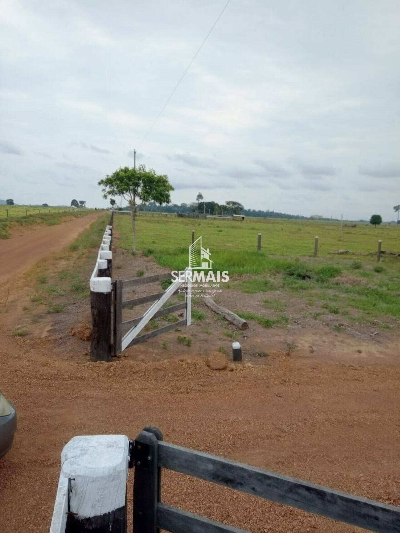 Fazenda Zona Rural, São Francisco do Guaporé - RO