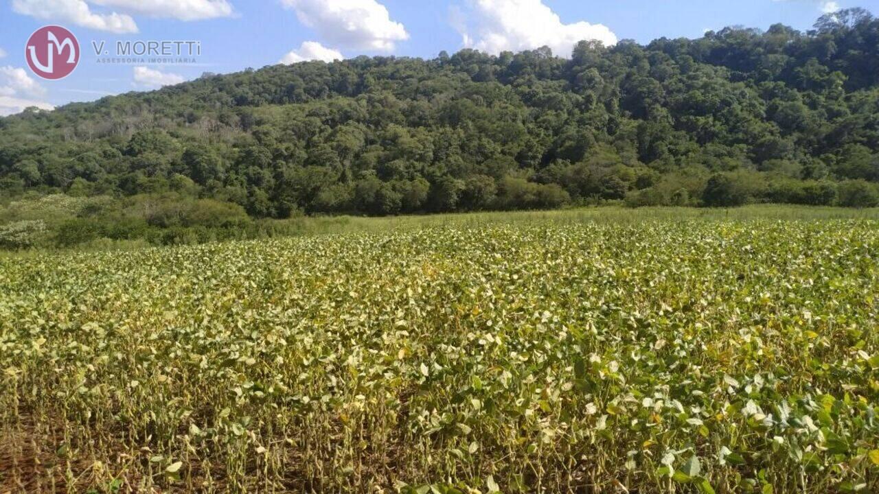 Fazenda Area Rural, Nova Laranjeiras - PR