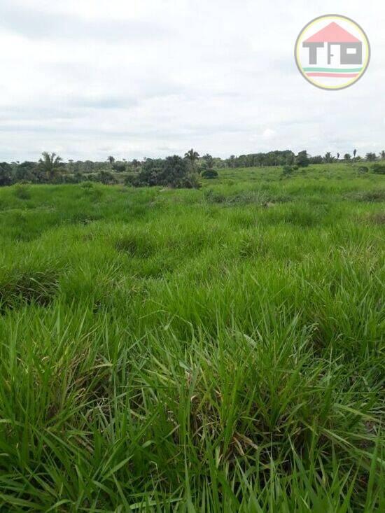 Fazenda -5.417025, -48.942720, São João do Araguaia - PA