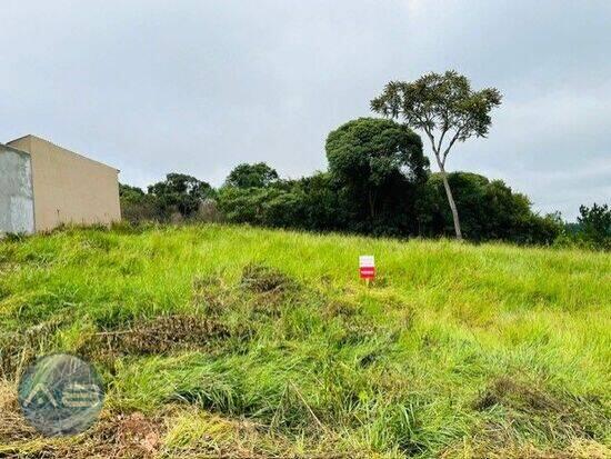 Estrela - Ponta Grossa - PR, Ponta Grossa - PR