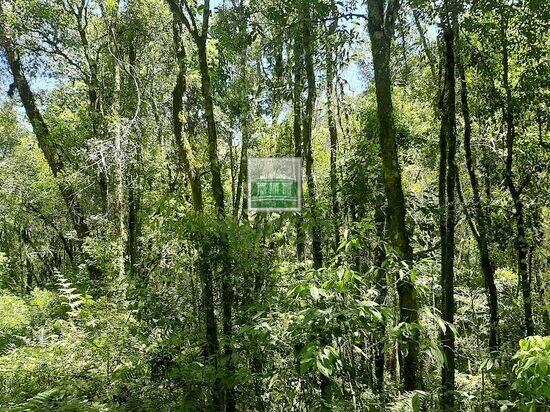 Miniatura - Chácara de 63.200 m² na Do Cerne - Bateias - Campo Largo - PR, à venda por R$ 600.000