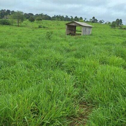 Sítios à venda Zona Rural