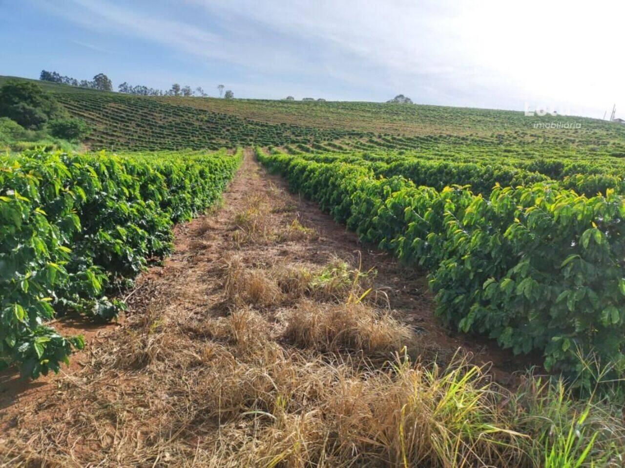 Fazenda Centro, Divisa Nova - MG