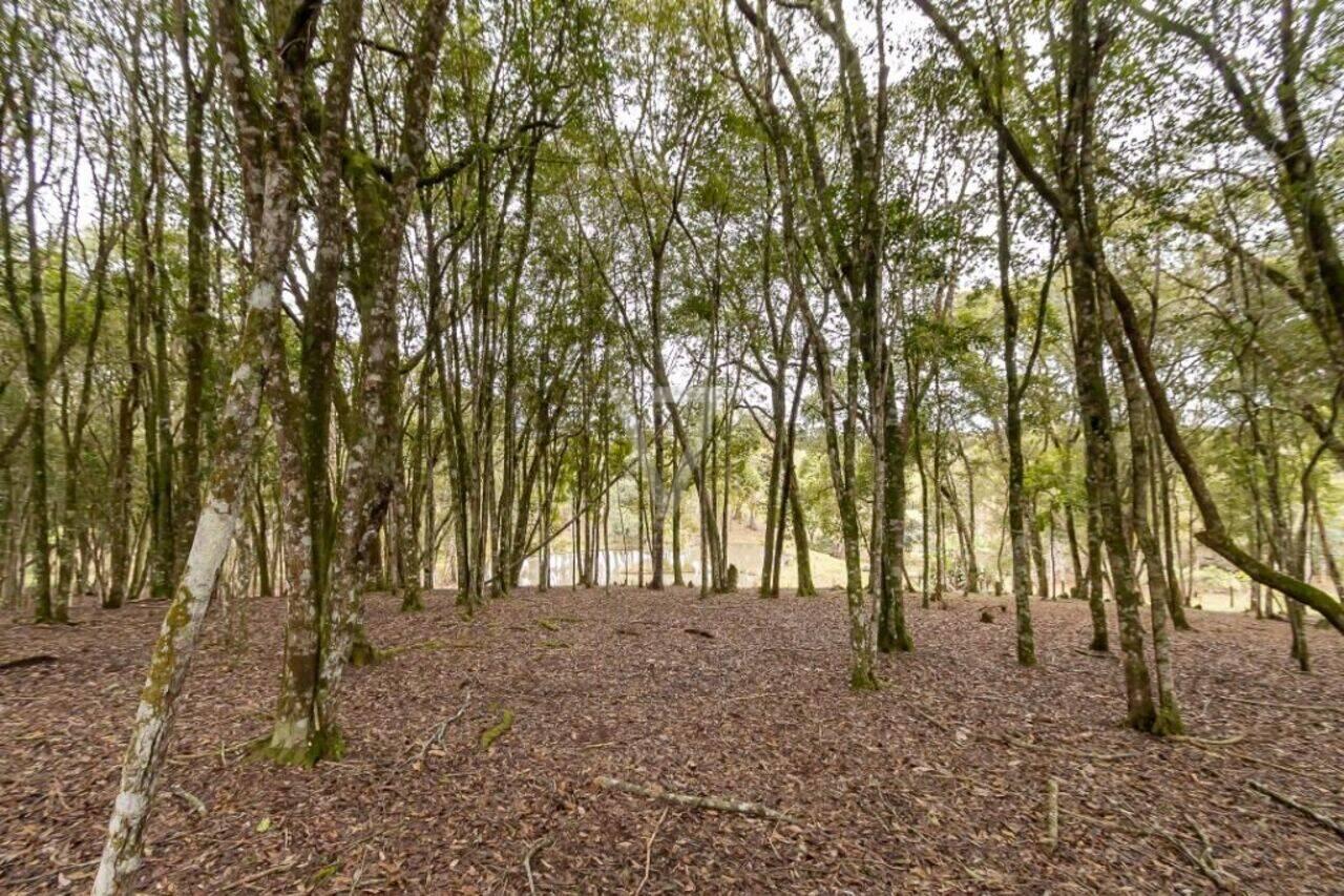 Chácara Mandassaia, Campina Grande do Sul - PR