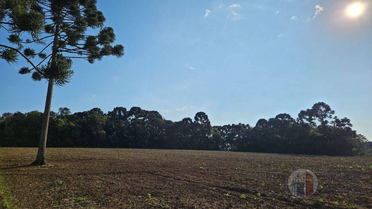 Chácara Guajuvira, Araucária - PR