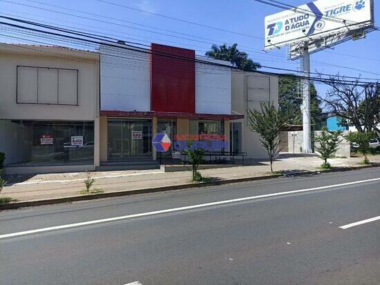 Centro - São José do Rio Preto - SP, São José do Rio Preto - SP