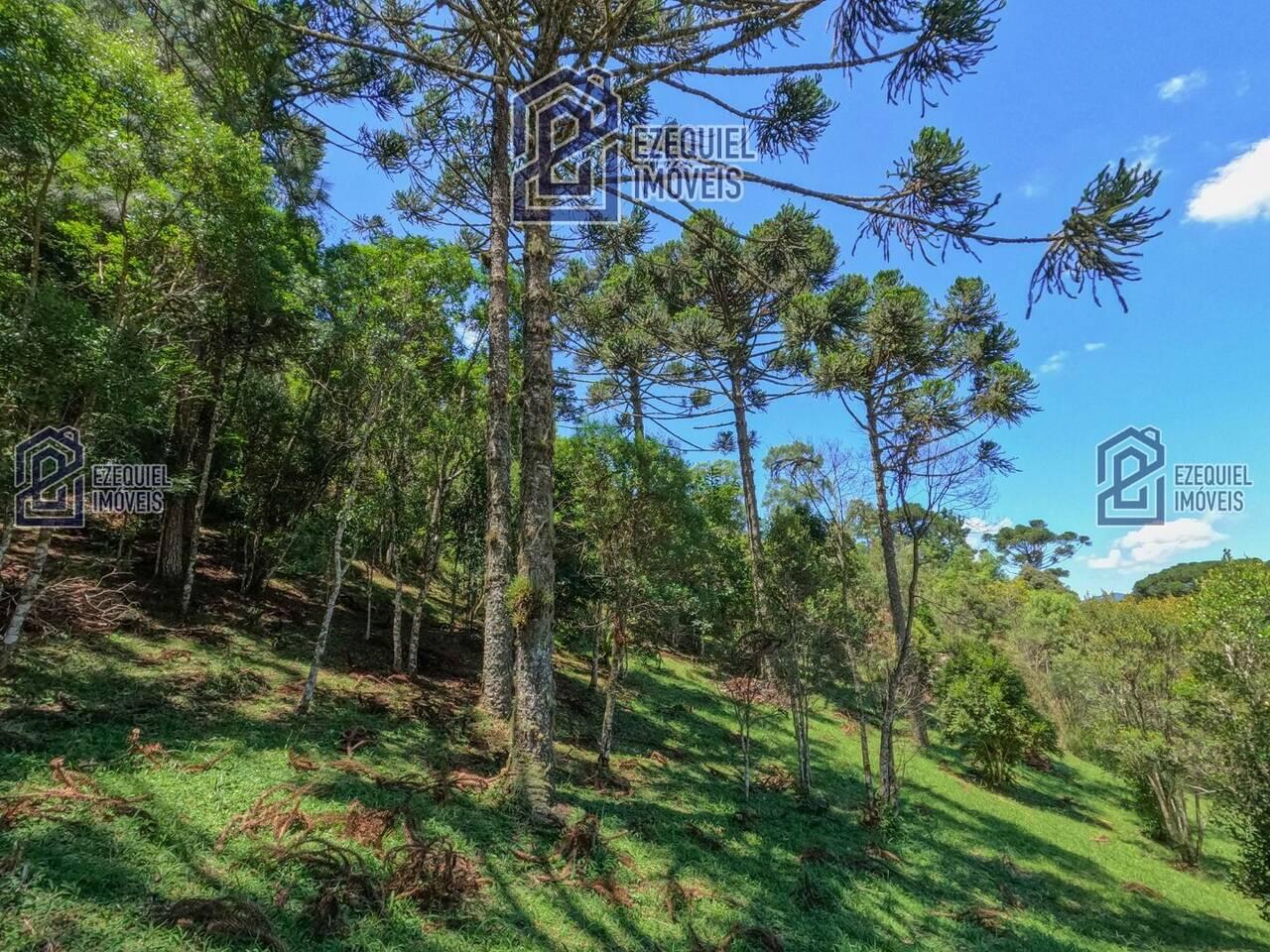 Sítio Zona Rural, Rancho Queimado - SC