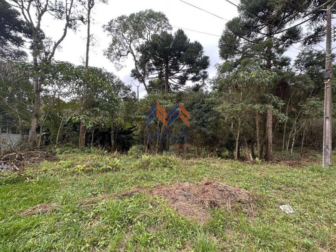 Terreno Miringuava, São José dos Pinhais - PR