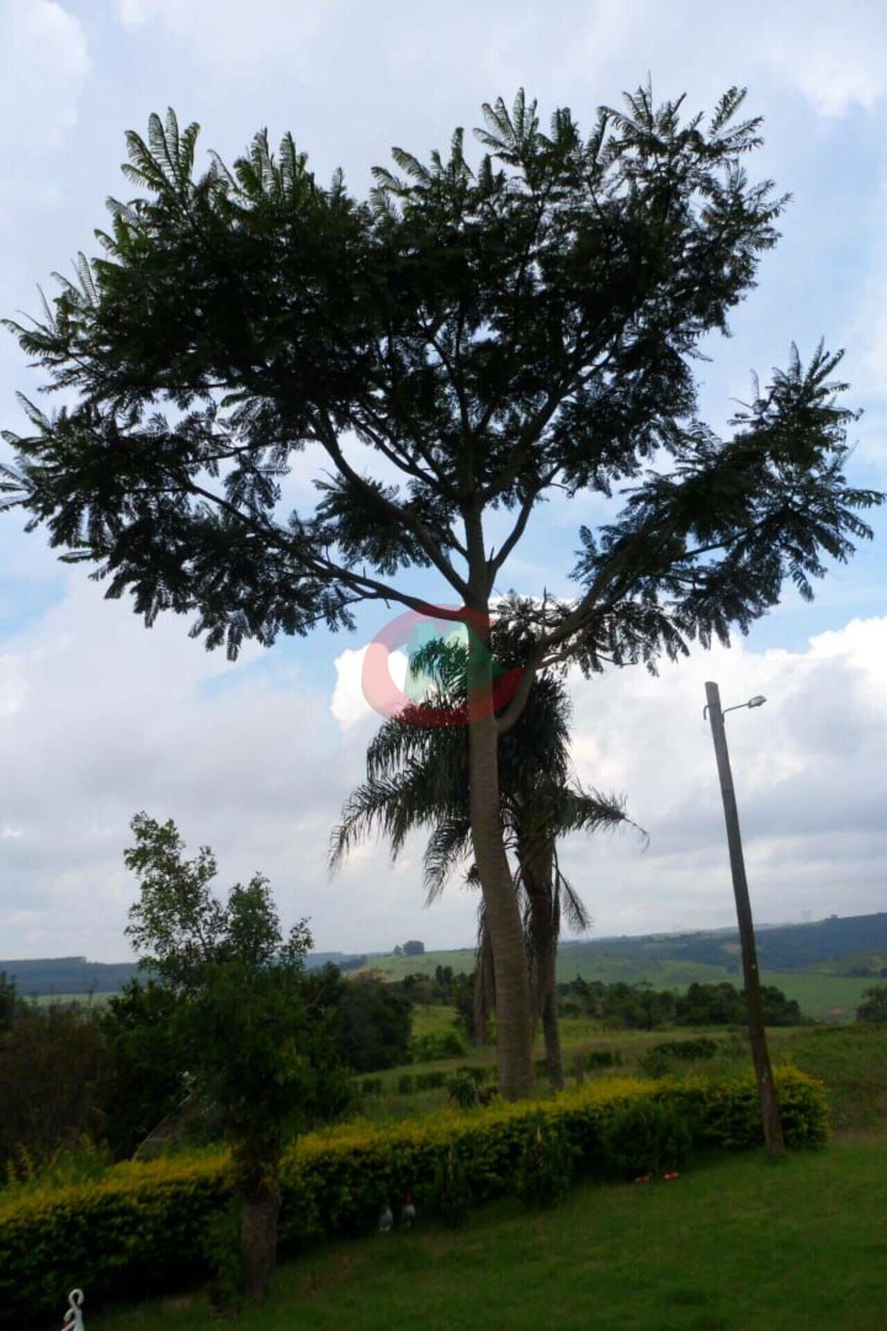 Sítio Piedade, Piedade - SP