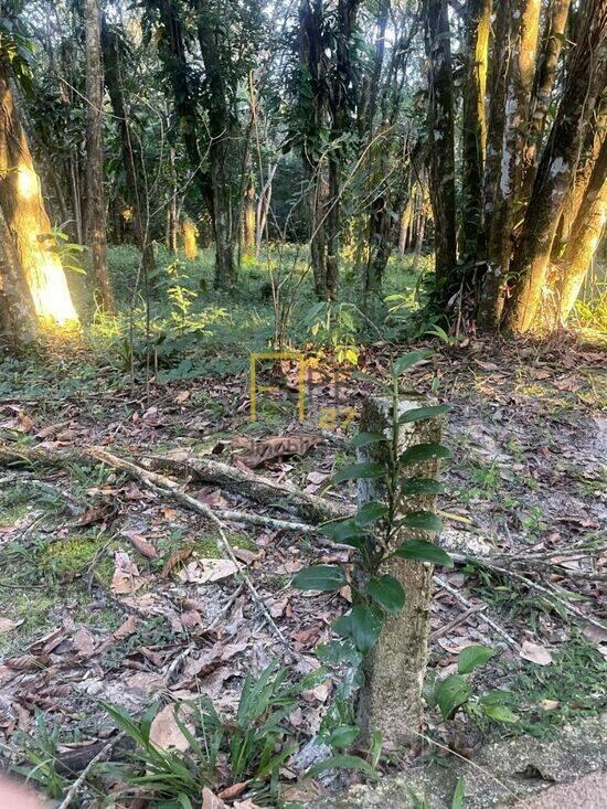 Reserva da Mata  - Cananéia - SP, Cananéia - SP