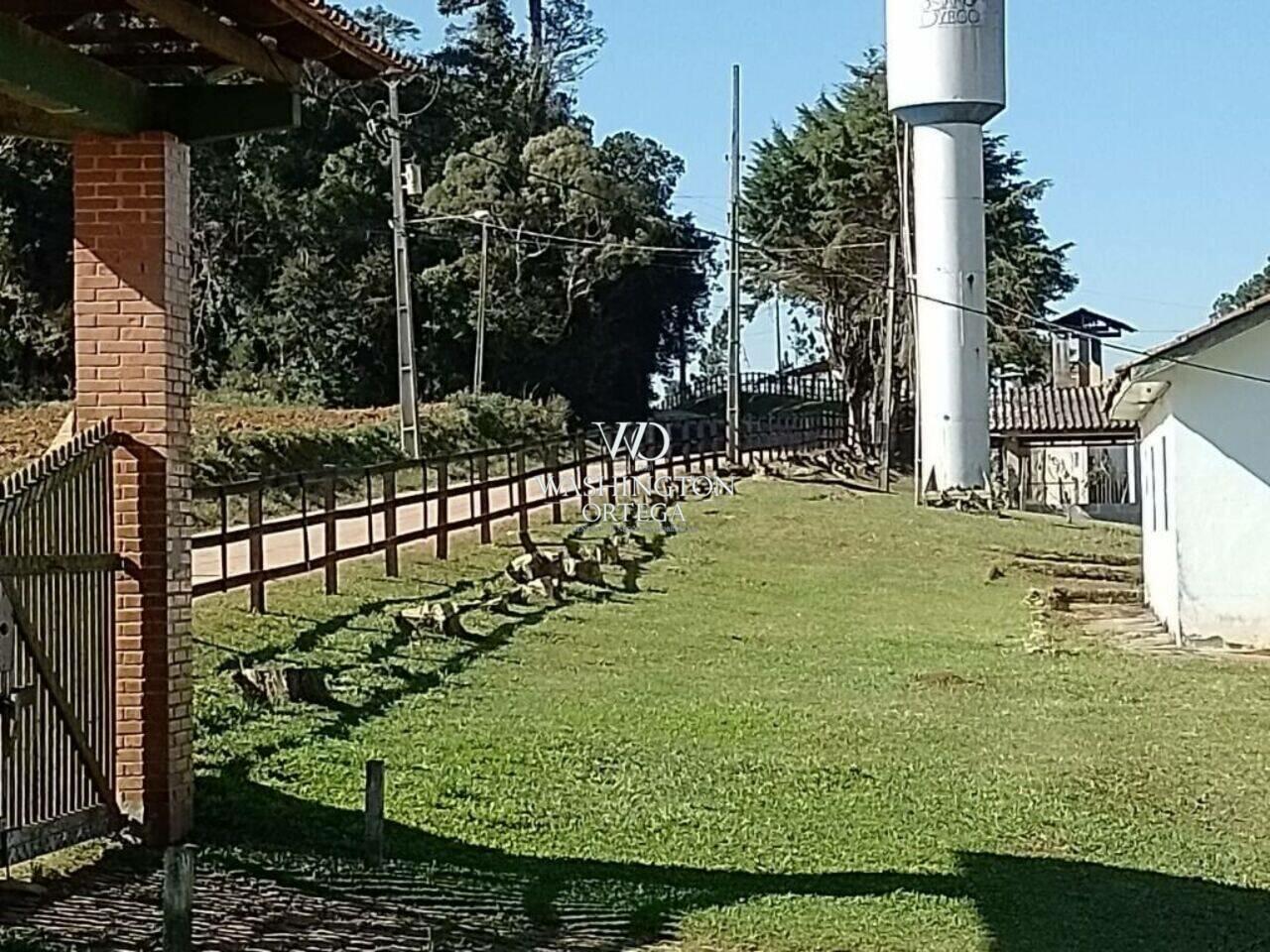 Haras Colônia Murici, São José dos Pinhais - PR