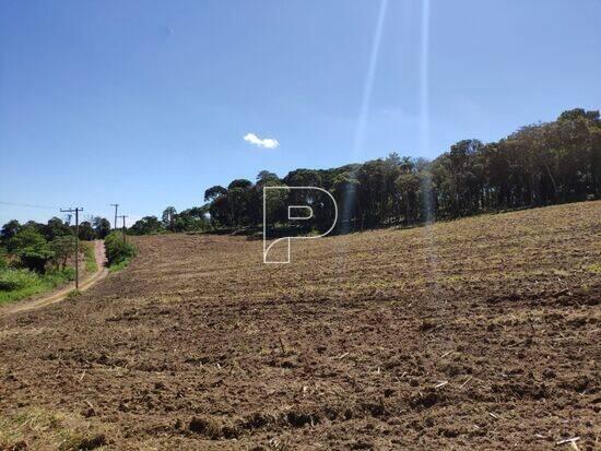 Aguassaí - Cotia - SP, Cotia - SP