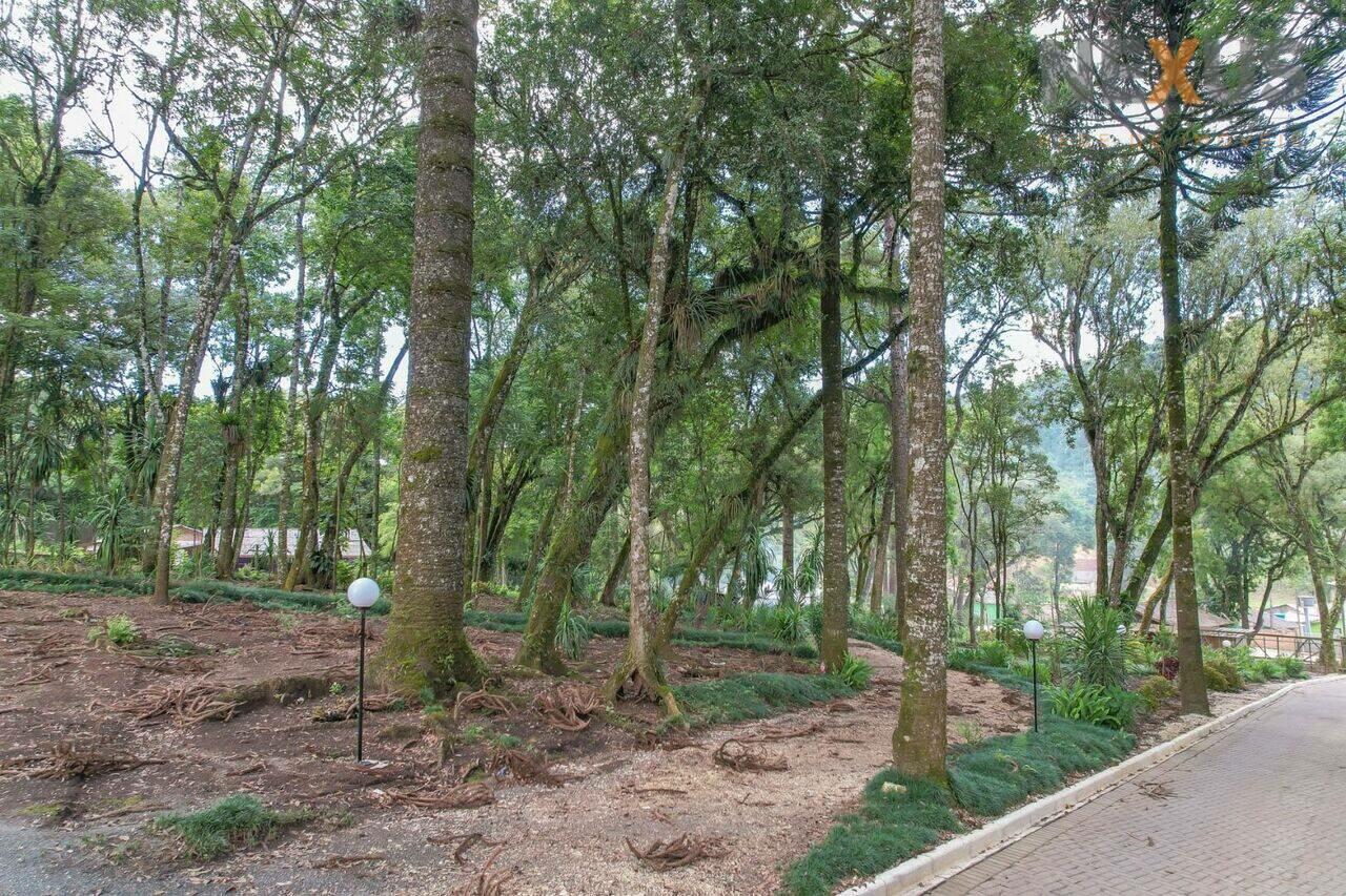 Área Boichininga, Almirante Tamandaré - PR