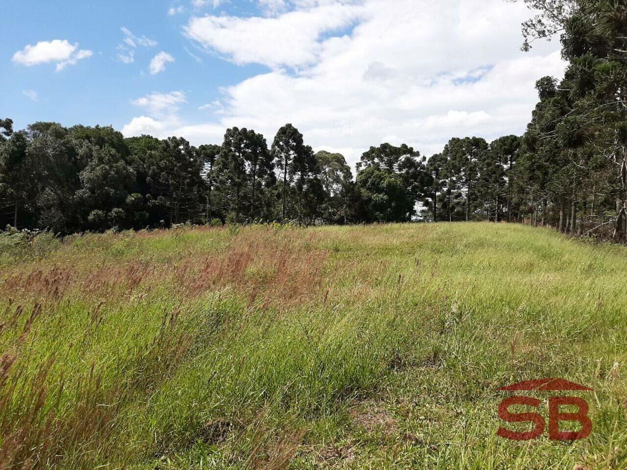 Área Chácaras Olhos D´água, Campina Grande do Sul - PR