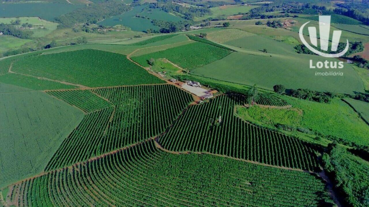 Fazenda Machado, Machado - MG