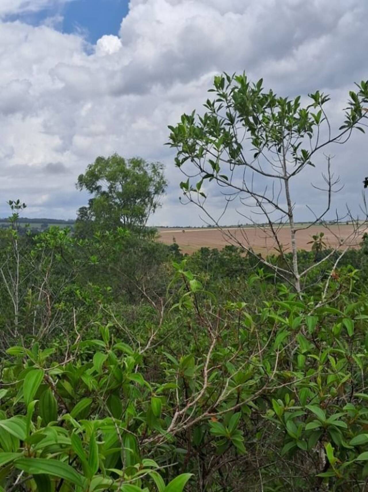 Área Bairro Rural, Abadiânia - GO