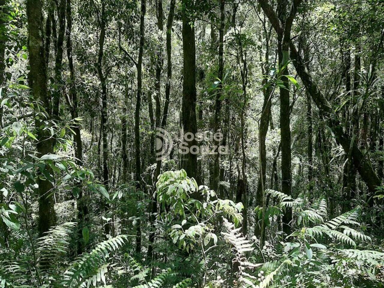 Chácara Bateias, Campo Largo - PR