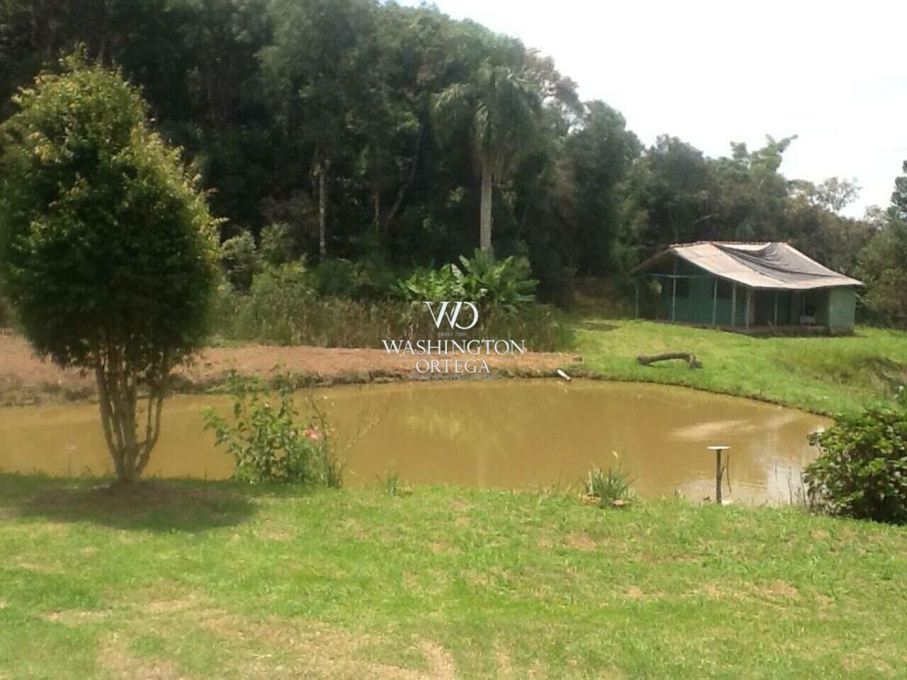 Chácara Campina Do Taquaral, São José dos Pinhais - PR