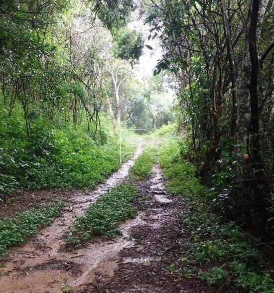 Morro Grande - Cotia - SP, Cotia - SP