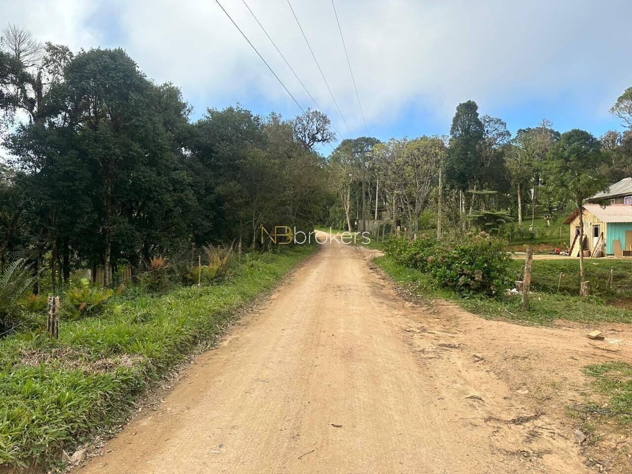 Área Area Rural, São José dos Pinhais - PR