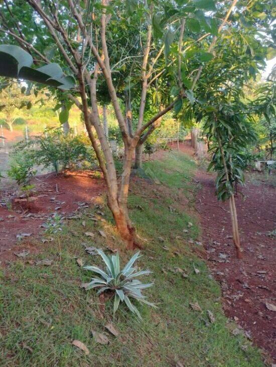 Agua das flores - Jataizinho - PR, Jataizinho - PR