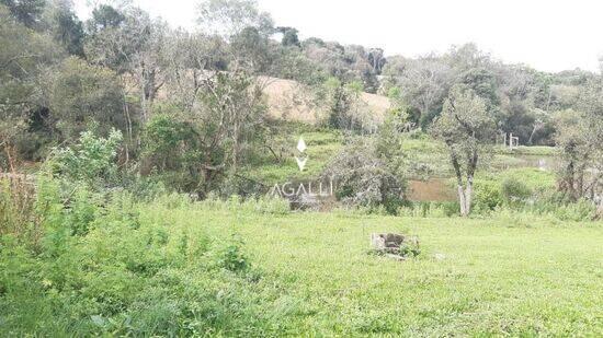 Centro - Antônio Olinto - PR, Antônio Olinto - PR