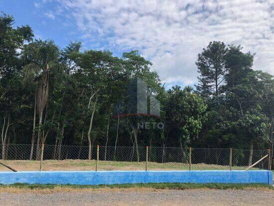 Jardim das Lavras Mirim - Suzano - SP, Suzano - SP