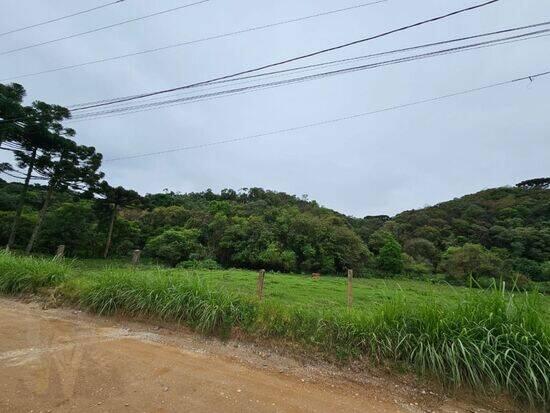 Colônia Antônio Prado - Almirante Tamandaré - PR, Almirante Tamandaré - PR