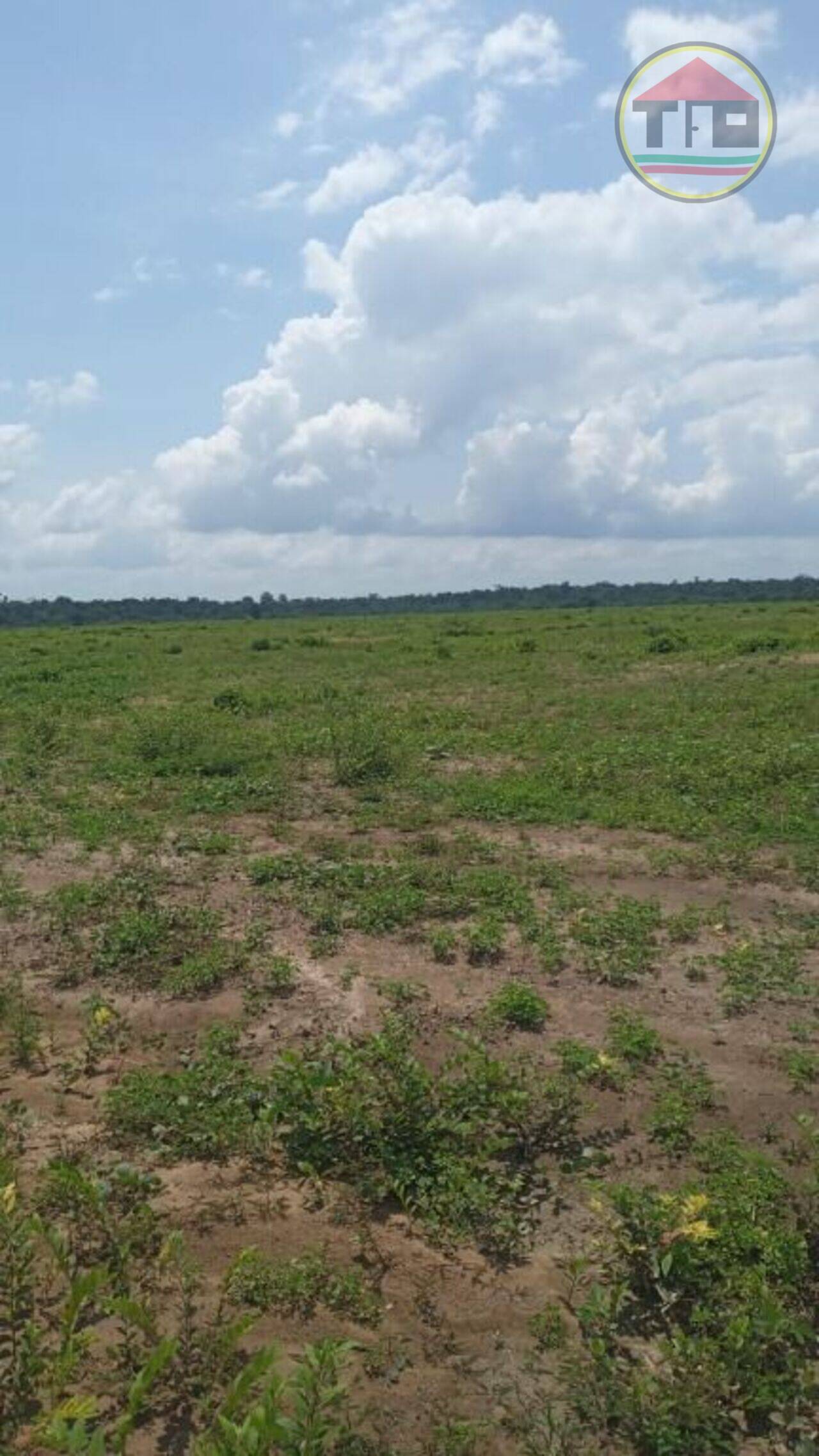 Fazenda Zona Rural, Tailândia - PA