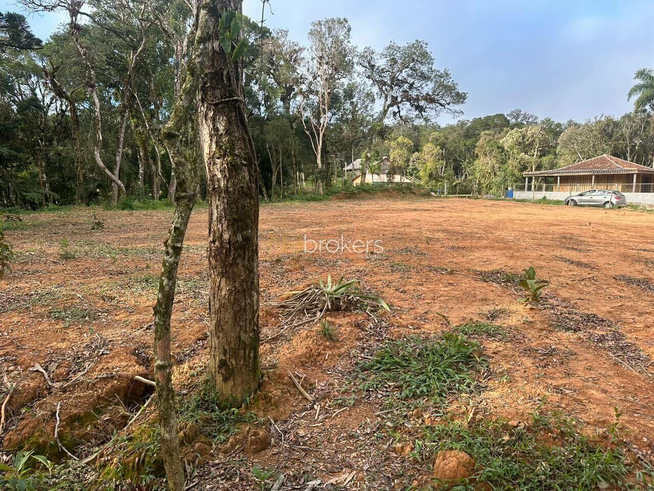 Área Area Rural, São José dos Pinhais - PR